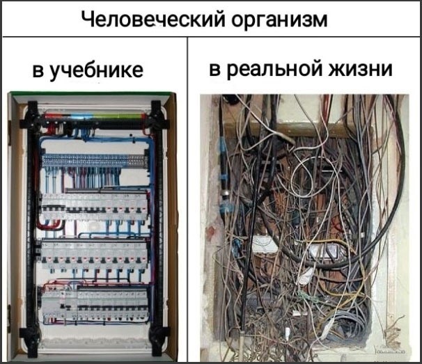Среды картинки