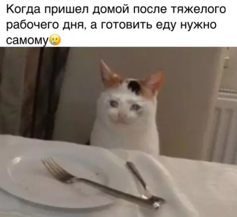 Котямбосы