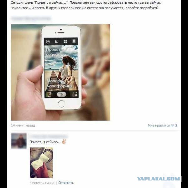 Прикольные картинки