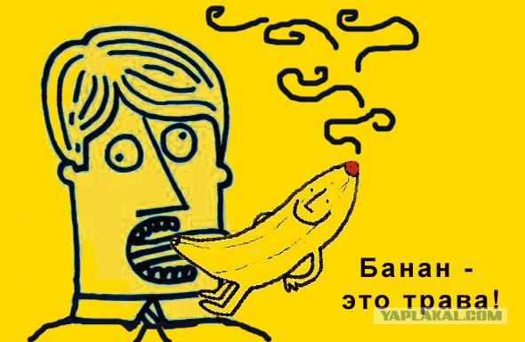 Забавные минифакты в картинках