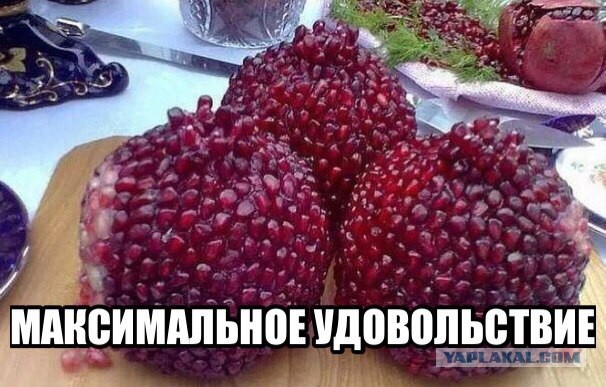 Весёлое из сети