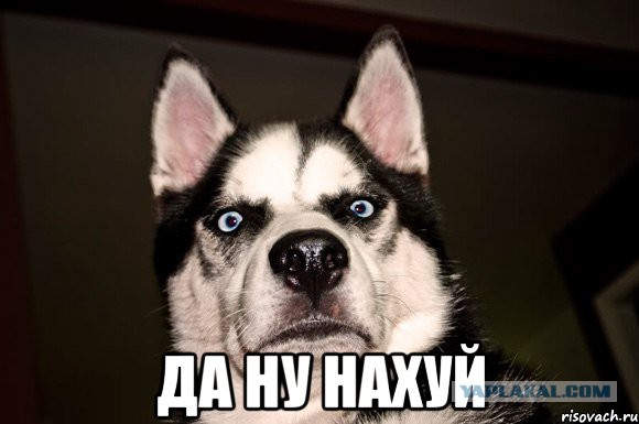 Ну нехрена ж себе