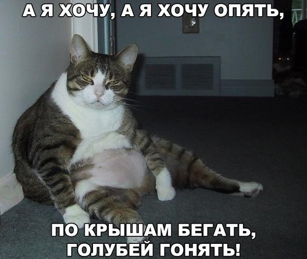Позитив на воскресенье