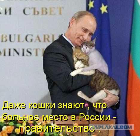 Веселые картинки.