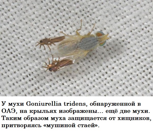 Подборка картинок 17.02.16