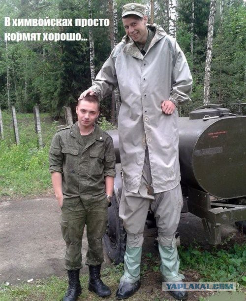 40 улыбательных картинок