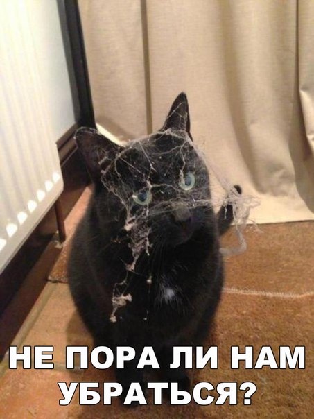 Мохнатые беспредельщики
