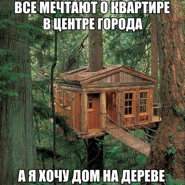 Весёлые картинки