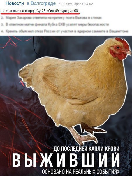 Прикольные животные
