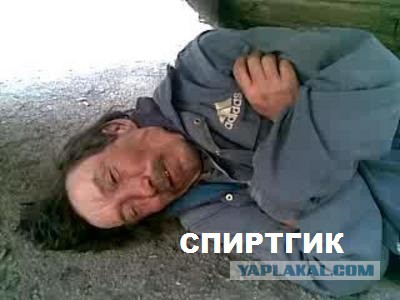 Смотрим и деградируем