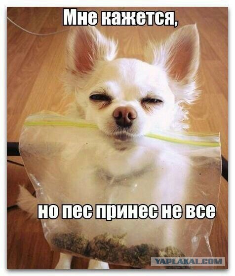 Пятничный полтинничек всем