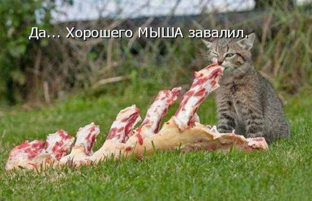 Подборка интересных и веселых картинок
