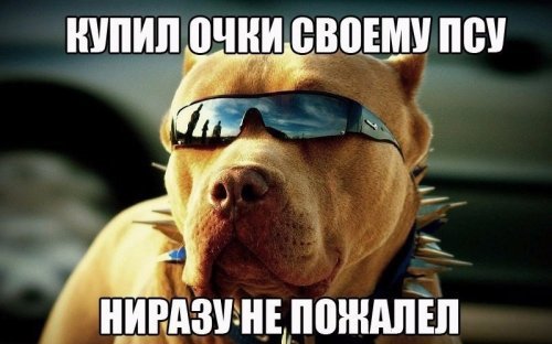 Весёлые картинки