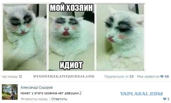 Скотсети и прочие интернеты 27.11.17
