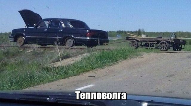 Подборка интересных и веселых картинок