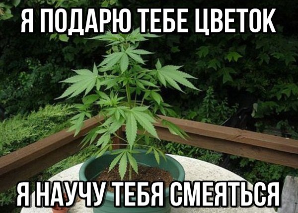 Обнаружены признаки существования иной Вселенной