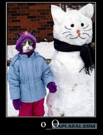 Зимние коты