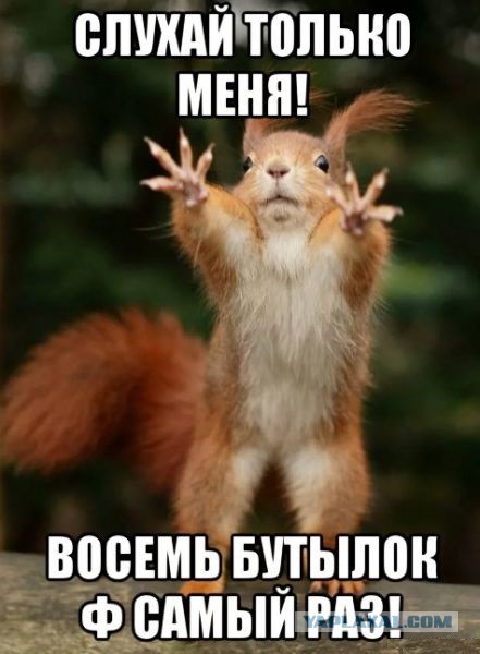 Российский корабль протаранил автомобильный мост в южнокорейском порту Пусан
