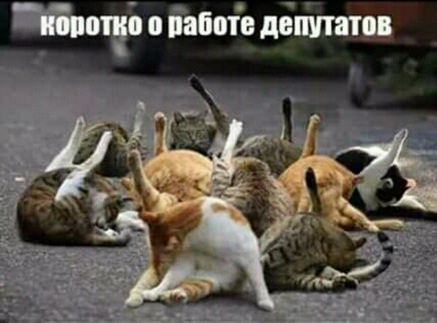 Картинки с надписями и анекдоты