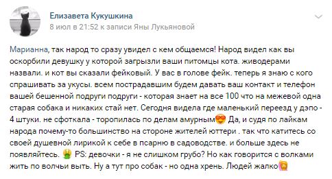Помогите вернуть кота! Приют "Преданное сердце" украл кота и не отдает!-2
