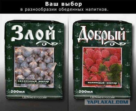 Яблочный "коала"...