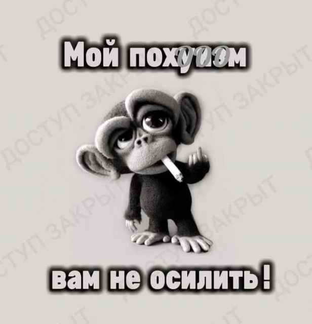 Бредзона 08.04.2020
