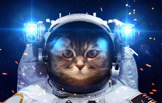 Стыковка SpaceX Crew Dragon с МКС