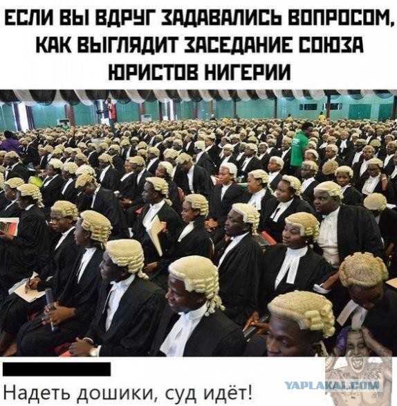 Бредзона 15.09.2020