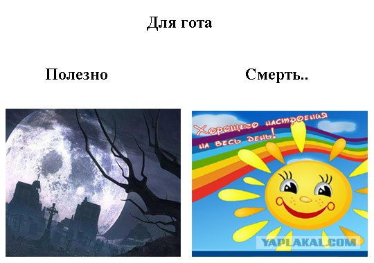 Полезное и не полезное