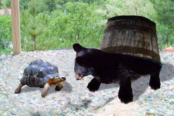 Фотожаба: Кто пил из бочки и все выпил?