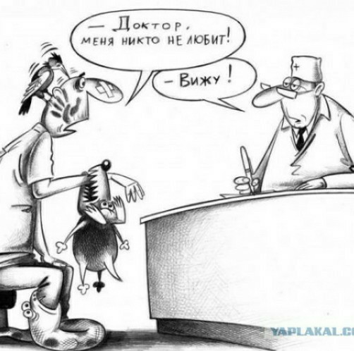 Я не люблю собак
