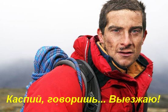 Каспийская мошка атакует