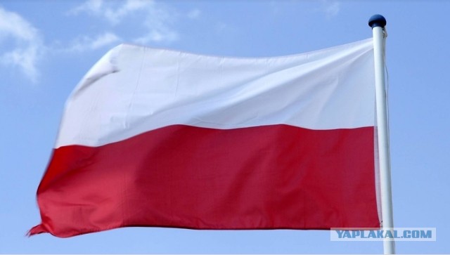Травили газом и душили: в Польше полицейские насмерть забили украинца в вытрезвителе