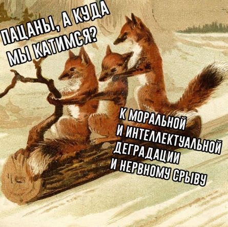 Юмор и прикольные картинки