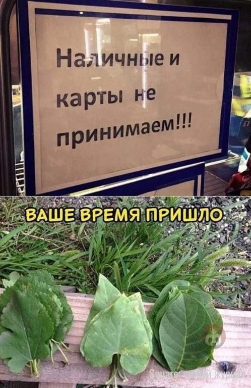 Картинки и мемы, всем прекрасных выходных