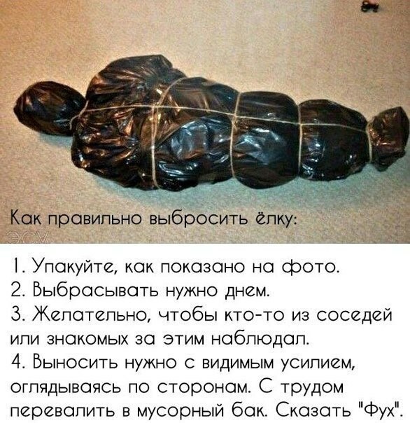 Вынос ёлки в Санкт-Петербурге