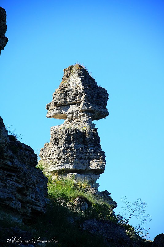 Летние красоты мыса Тарханкут