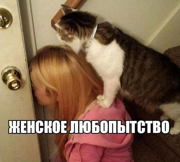 Так себе картинки 02.04.22