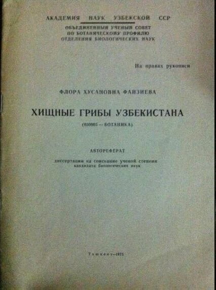 Кыргызстанские грибочки