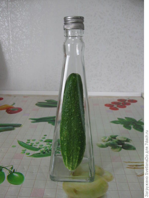 Природа удивительна