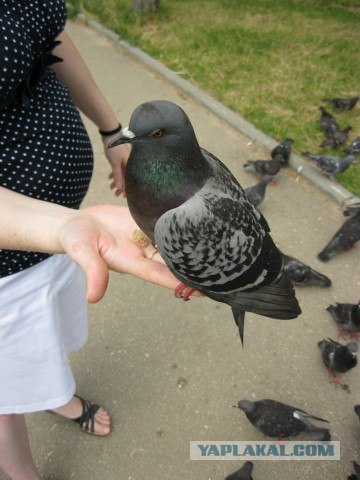 Отпуск в Нижнем Новгороде.