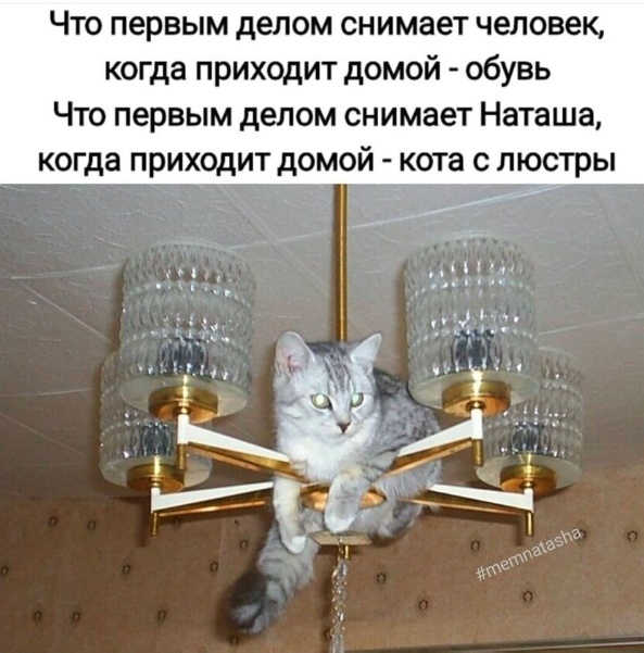 Народная меДИЧина 7.08