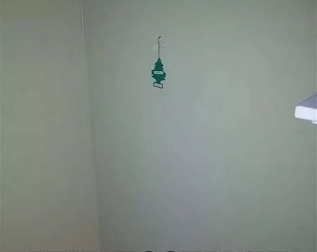 Выкладывайте свои елки!
