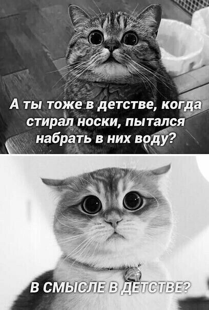 Юмор в картинках и без