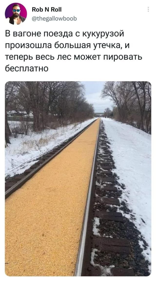Картинки и мемы, выходные продолжаются