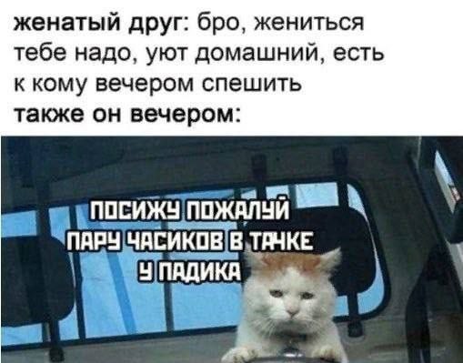 Сколько счас стоит писечка