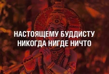 Для тех, кто считает коронавирус выдумкой