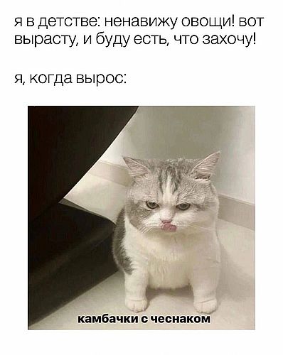 Юморески в JPG