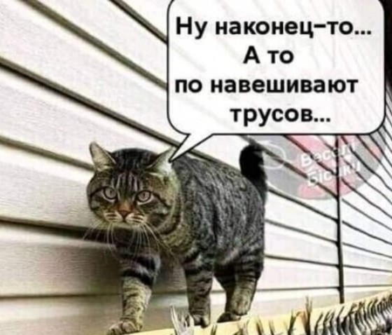 Картинки и тексты улыбательные