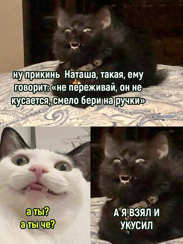 Вторник-повторник 12-12-2023